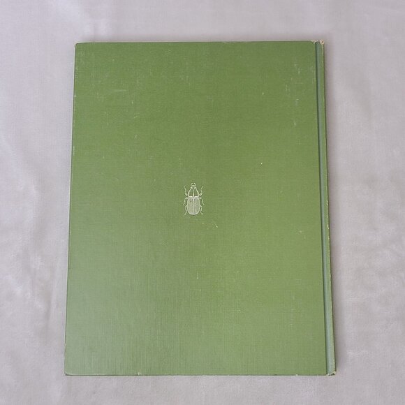 The Insects By Peter Farb Life Nature Library Hardcover 1967 - Picture 7 of 13